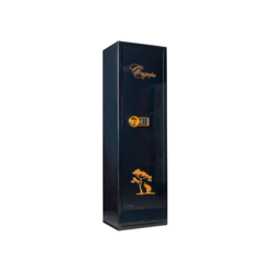 Оружейный сейф VALBERG САФАРИ EL GOLD (черный)